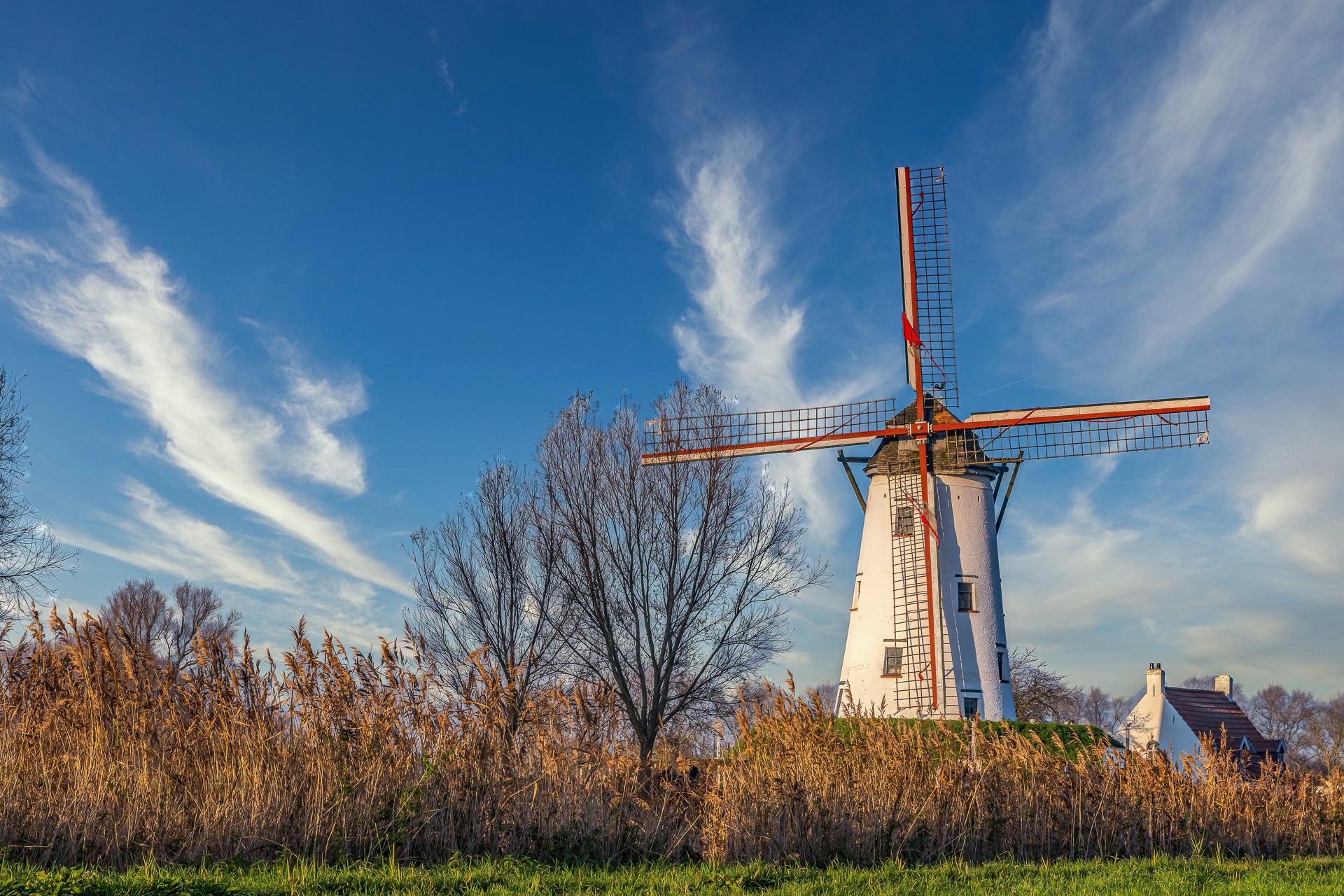 Beelden van de maand Mei